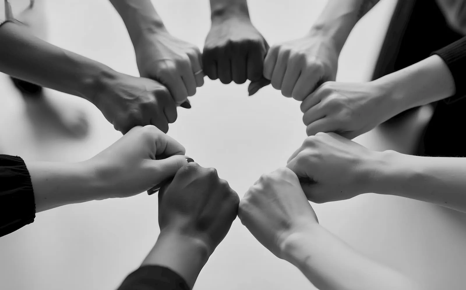 Strategic Partnerships and Talent Network Connections